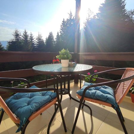 Green Studio Predeal Bagian luar foto