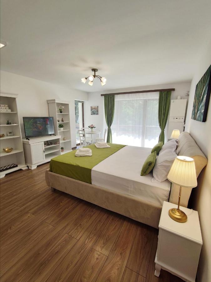 Green Studio Predeal Bagian luar foto