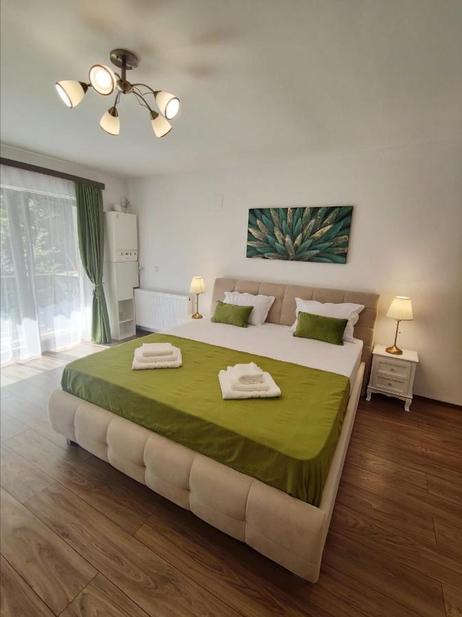 Green Studio Predeal Bagian luar foto