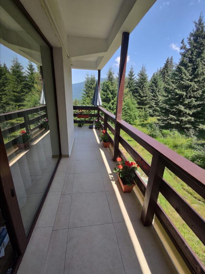 Green Studio Predeal Bagian luar foto